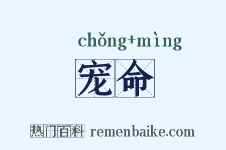 宠命是什么意思的图片